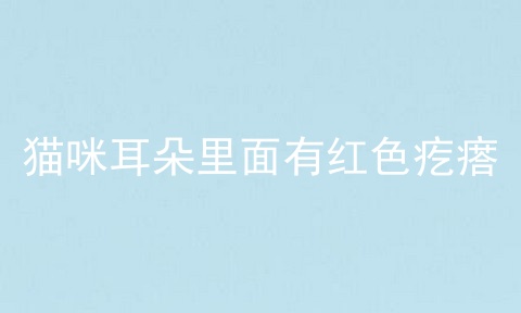 猫咪耳朵里面有红色疙瘩