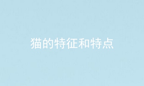 猫的特征和特点