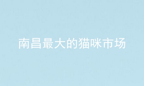 南昌最大的猫咪市场