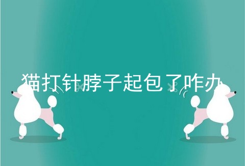 猫打针脖子起包了咋办