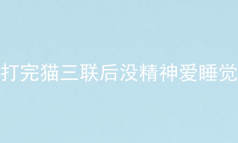 打完猫三联后没精神爱睡觉