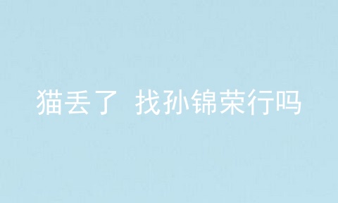 猫丢了 找孙锦荣行吗