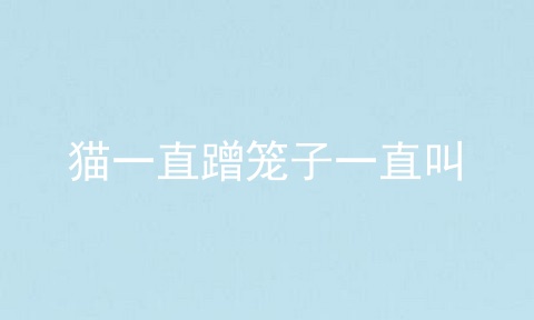 猫一直蹭笼子一直叫