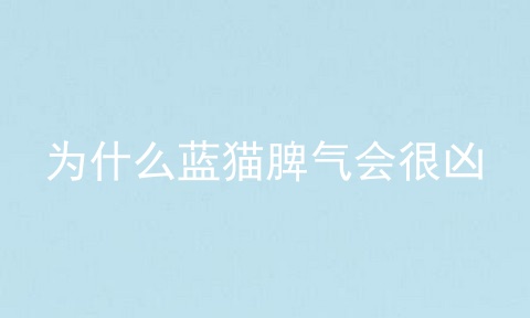 为什么蓝猫脾气会很凶