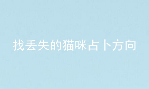 找丢失的猫咪占卜方向