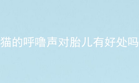猫的呼噜声对胎儿有好处吗