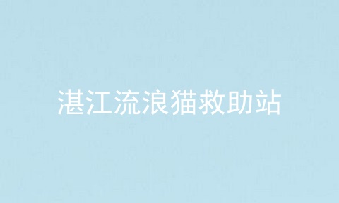 湛江流浪猫救助站