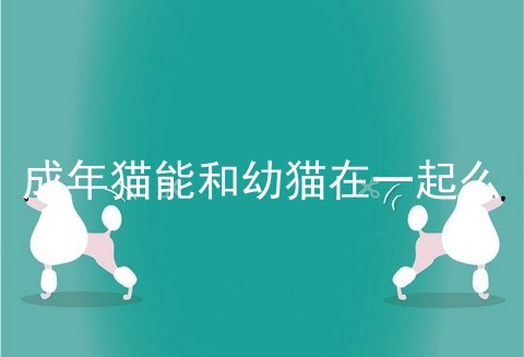 成年猫能和幼猫在一起么