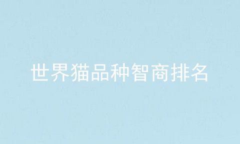 世界猫品种智商排名