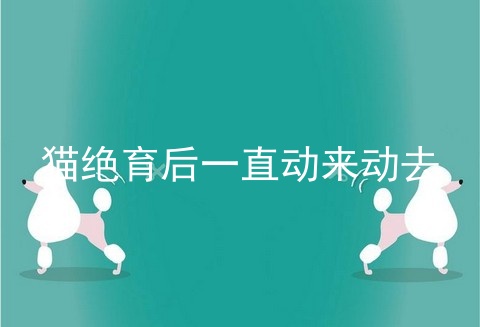 猫绝育后一直动来动去