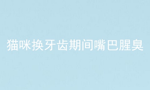 猫咪换牙齿期间嘴巴腥臭