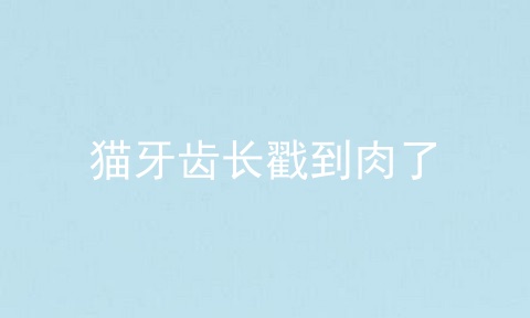 猫牙齿长戳到肉了