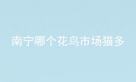 南宁哪个花鸟市场猫多