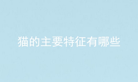 猫的主要特征有哪些