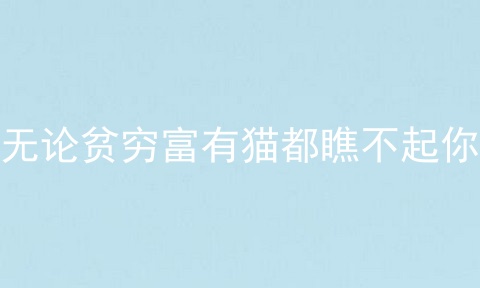 无论贫穷富有猫都瞧不起你