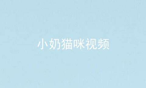 小奶猫咪视频