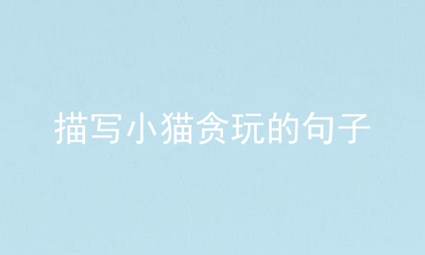 描写小猫贪玩的句子