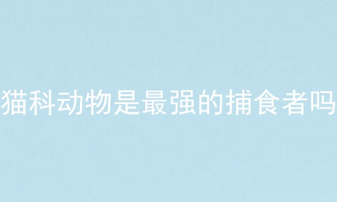 猫科动物是最强的捕食者吗