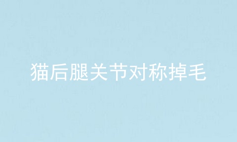 猫后腿关节对称掉毛