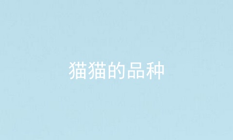 猫猫的品种