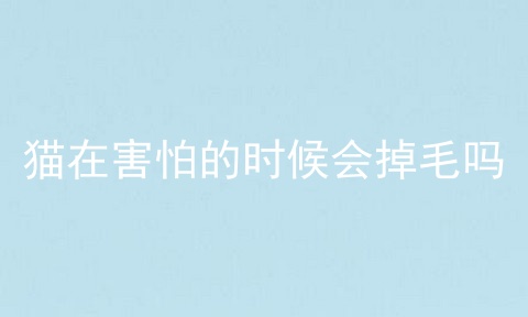 猫在害怕的时候会掉毛吗