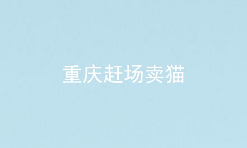重庆赶场卖猫