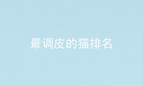 最调皮的猫排名