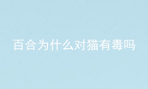 百合为什么对猫有毒吗