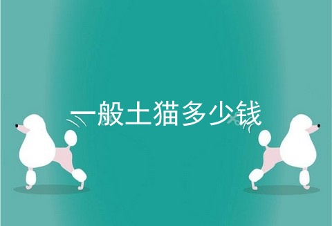 一般土猫多少钱