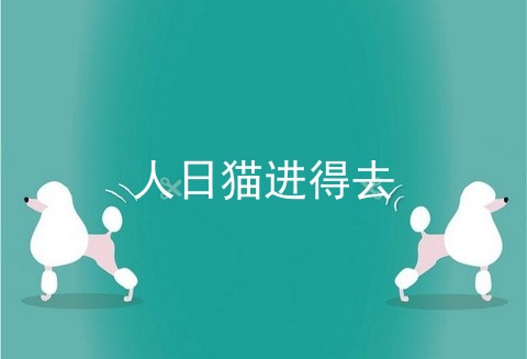 人日猫进得去