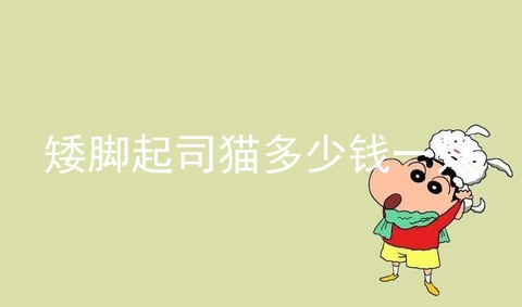 矮脚起司猫多少钱一只