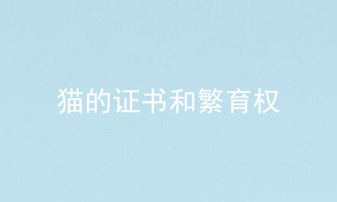 猫的证书和繁育权