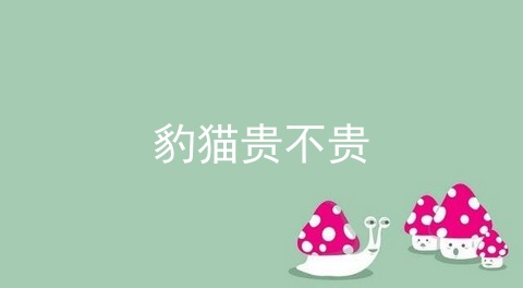 豹猫贵不贵