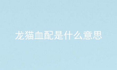 龙猫血配是什么意思