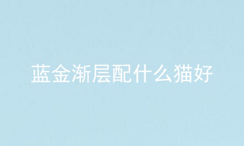 蓝金渐层配什么猫好