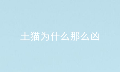 土猫为什么那么凶