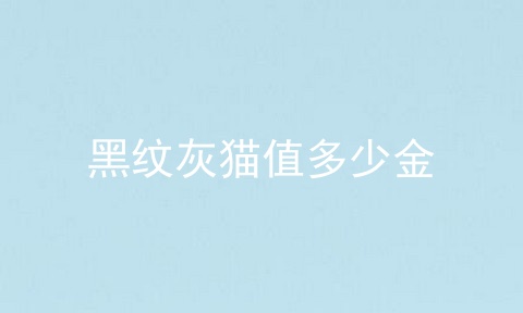 黑纹灰猫值多少金