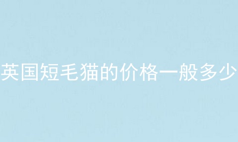 英国短毛猫的价格一般多少