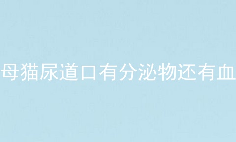 母猫尿道口有分泌物还有血