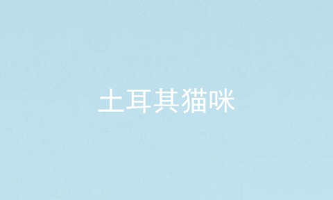 土耳其猫咪