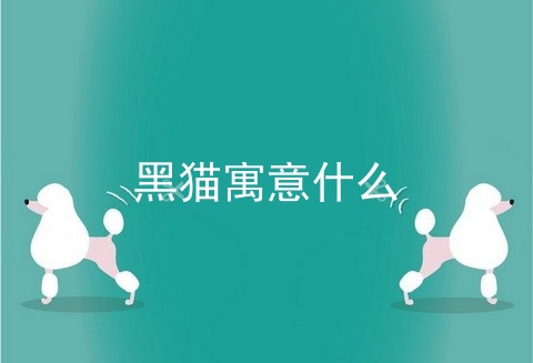黑猫寓意什么