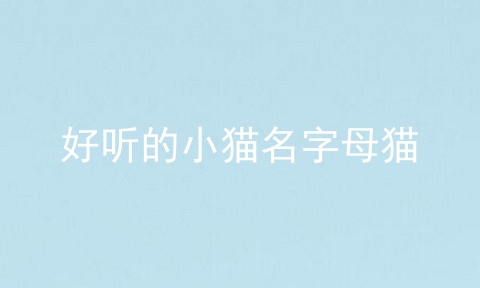 好听的小猫名字母猫