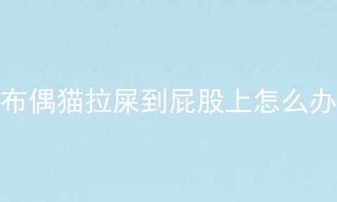 布偶猫拉屎到屁股上怎么办