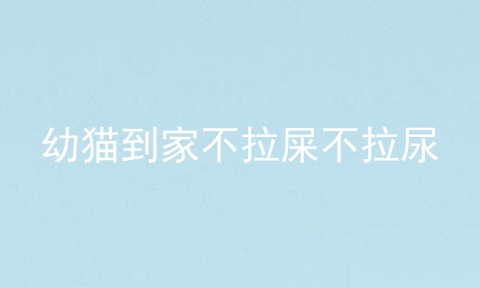 幼猫到家不拉屎不拉尿