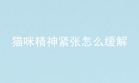 猫咪精神紧张怎么缓解