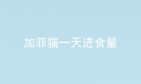 加菲猫一天进食量