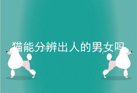猫能分辨出人的男女吗