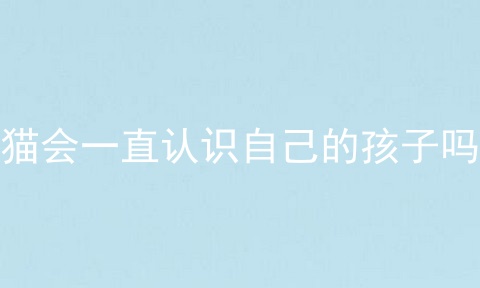 猫会一直认识自己的孩子吗