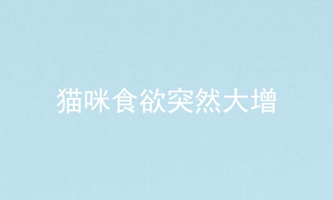 猫咪食欲突然大增