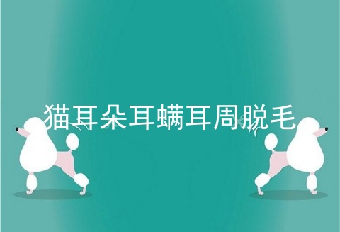 猫耳朵耳螨耳周脱毛